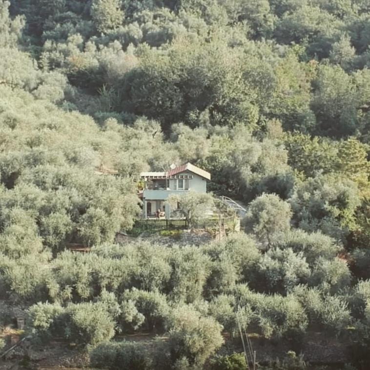 Terre Di Garlenda Guest House Luaran gambar
