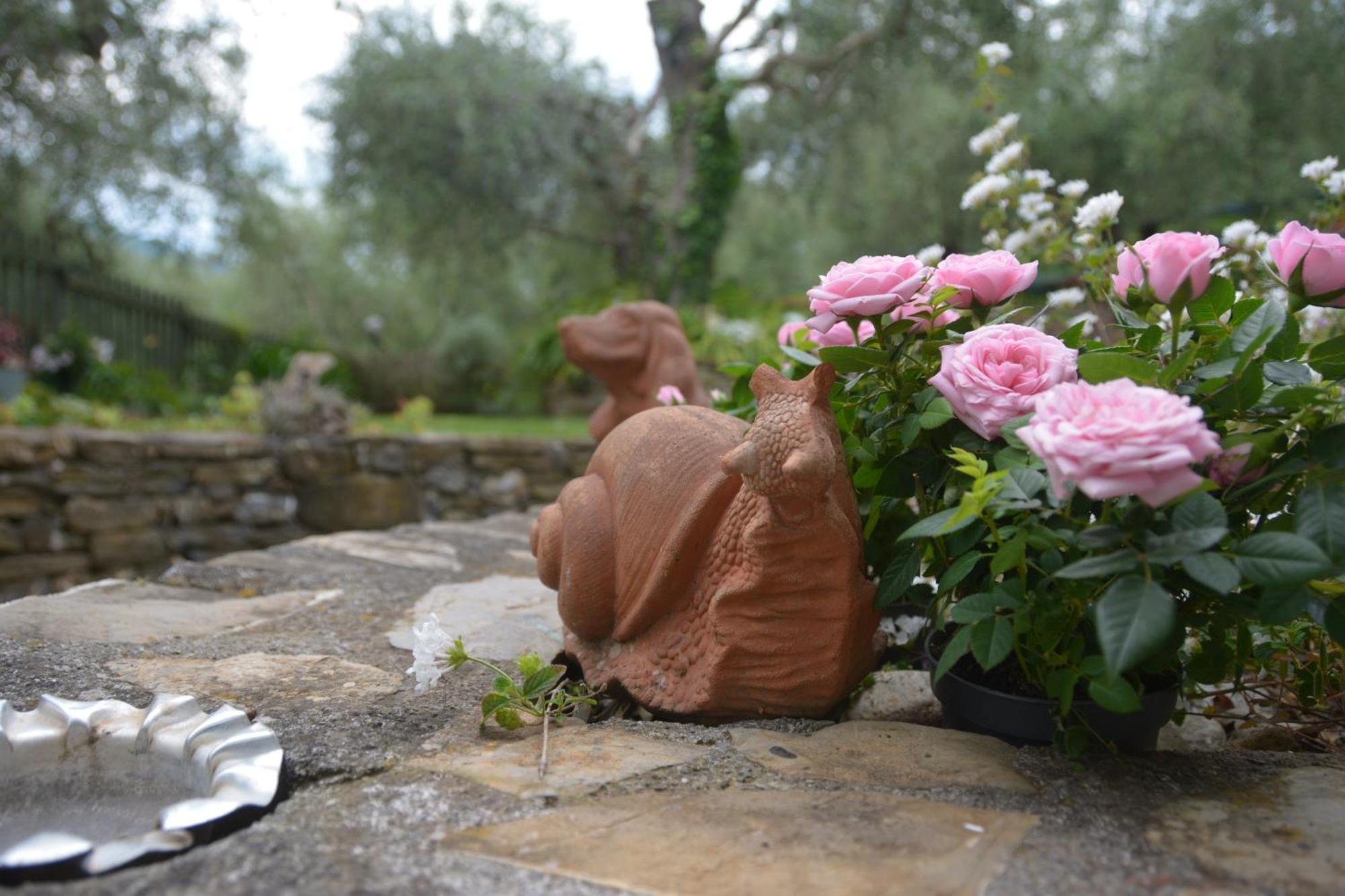 Terre Di Garlenda Guest House Luaran gambar